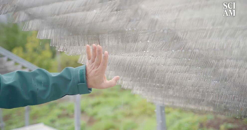 Science Is Using Mechanical Moss to Fight Climate Change on the Canary Islands