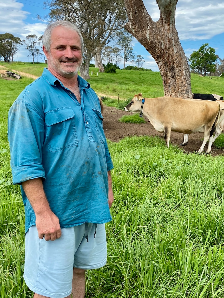 Farmer says virtual fencing ‘appropriate’, but RSPCA says electric shock causes ‘acute stress’ to animals