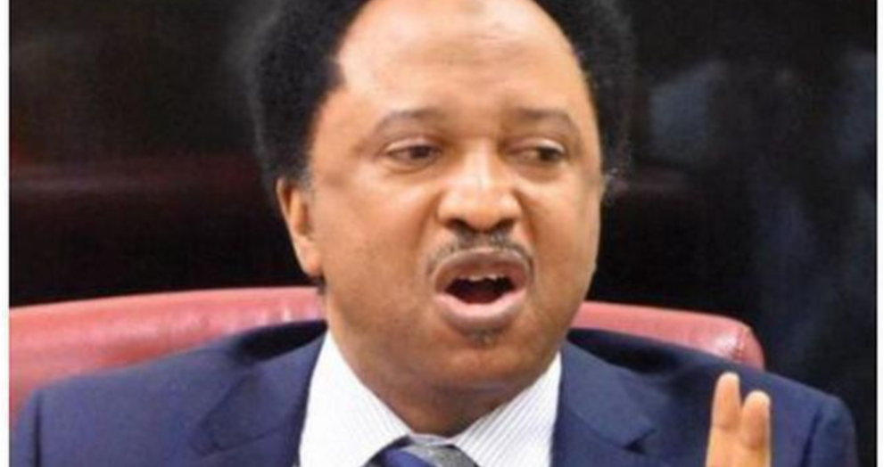 BREAKING: Shehu Sani Reacts After Tinubu’s Led Govt Claimed That Nigeria Is A Very Poor Country.