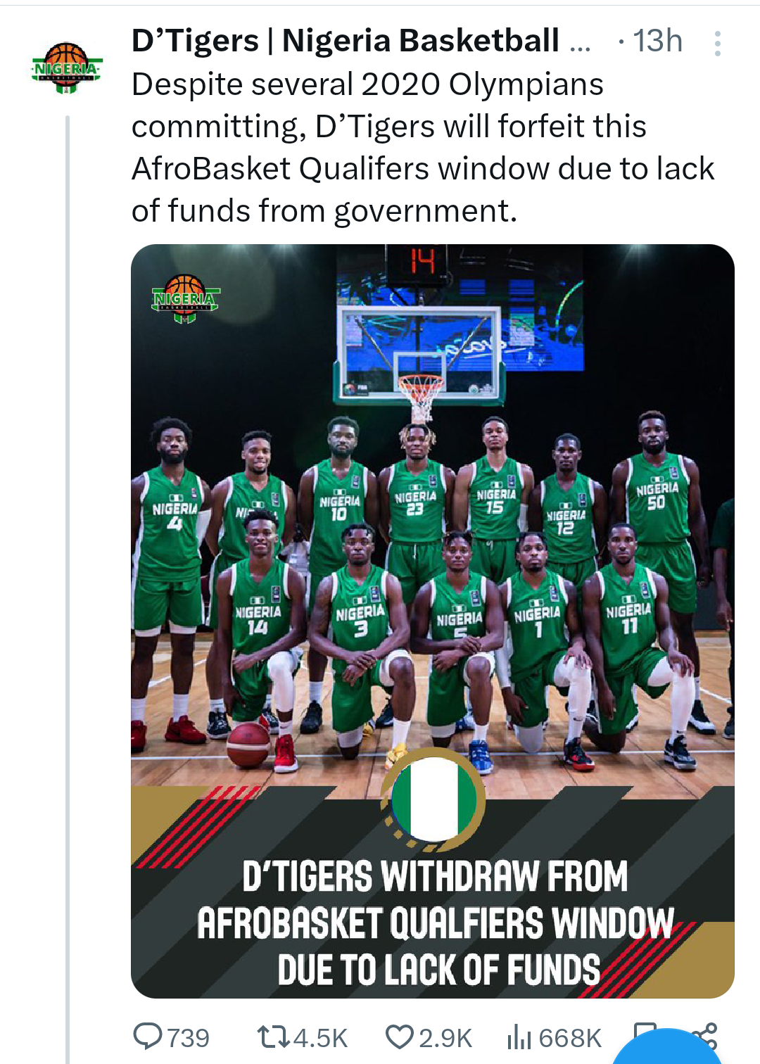 Nigeria’s D’Tigers withdraw from AfroBasket 2025 Qualifiers due to lack of funds